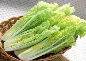 京東進軍蔬菜領域 重塑品質(zhì)標準，超越有機蔬菜的革新之路