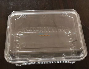 佛山吸塑包裝廠 東莞區(qū)域知名的吸塑包裝企業(yè)及其文化內涵